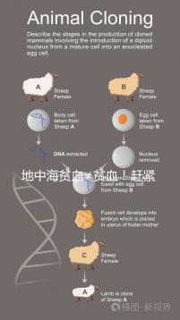 地中海貧血≠貧血！趕緊來看看地貧和貧血有什么區(qū)別