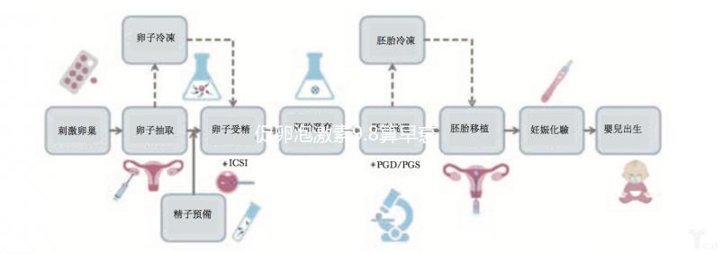 促卵泡激素9.8算早衰嗎?醫生:不能確定就是卵巢早衰