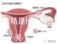 人工授精是什么?3分鐘讀完這篇文章，解答你所有疑問