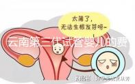 云南第三代試管嬰兒的費用是多少？如何選擇可靠的醫院？這篇文章的策略已經為你做好了