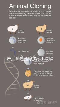 產(chǎn)后疏通乳腺按摩手法解密，不用吸奶器輕松搞定堵奶、奶結(jié)