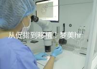 從促排到移植！夢美hrc試管嬰兒流程共7步