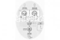 什么時候排卵比較容易？