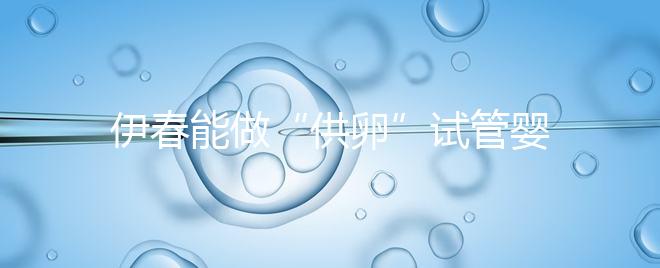 伊春能做“供卵”試管嬰兒嗎？你們想知道的答案在這里