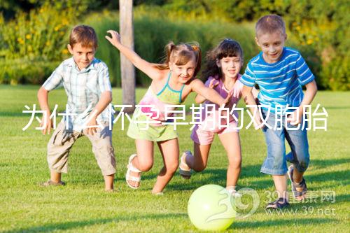 為什么懷孕早期的雙胞胎停止看，及時處理是首要任務