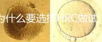為什么要選擇HRC做試管？這6大優(yōu)勢(shì)看完就知道答案