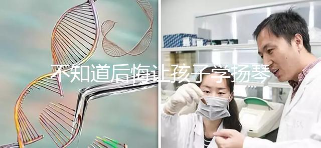 不知道后悔讓孩子學(xué)揚琴怎么辦看這,年齡是決定因素