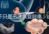 不只是迅速恢復卵巢！試管取卵后吃蘿卜的3大好處匯總