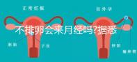 不排卵會來月經嗎?據悉并不會推遲大姨媽的到來