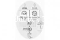 不孕癥的癥狀（女性不孕不育十大特征）