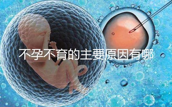 不孕不育的主要原因有哪些呢