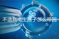 不造越南生孩子怎么帶回國戶口？流程和資料都有