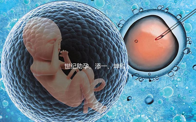 世紀(jì)助孕、添一、坤和，一起來看看上海助孕公司哪家好？