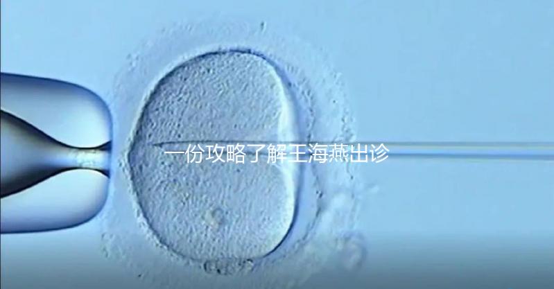 一份攻略了解王海燕出診表，讓你在北醫(yī)三院掛號(hào)更簡單