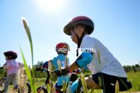 一代二代三代試管區(qū)別科普表演（一代二代三代試管什么區(qū)別）