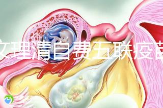 一文理清自費五聯疫苗接種必要性，新生兒打有這些好處