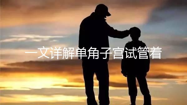 一文詳解單角子宮試管著床困不困難，失敗或和這幾點有關