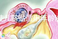 丁桂兒臍貼適用年齡沒明確規定，但初次使用必須滿月