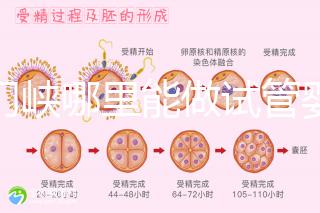 三門峽哪里能做試管嬰兒？從經歷談成功率和費用