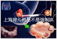 上海育兒假是不是強制執行已明確，2024虹口區何時執行戳