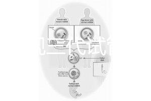 中國正規(guī)三代試管嬰兒機構名單,2025生殖機構排名參考