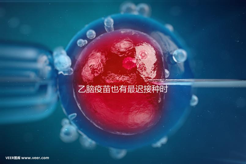 乙腦疫苗也有最遲接種時間，超過這個年齡段打效果差很多