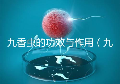 九香蟲(chóng)的功效與作用(九香蟲(chóng)和蜈蚣誰(shuí)最壯陽(yáng))