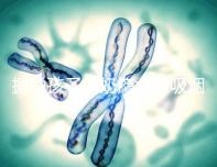 據說孩子的奶癮太像吸煙，背后的原因讓人深思