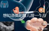 想知道貴陽育兒嫂一個(gè)月戳多少錢，云巖2萬夠不夠