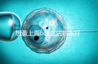 想造上海b超醫(yī)院哪家好別只看費(fèi)用，上海六院登榜前3了解下