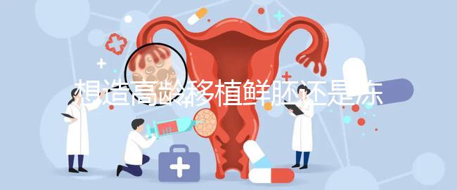 想造高齡移植鮮胚還是凍胚好請進，關鍵看身體適不適合