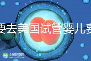 想要去美國試管嬰兒費用要花多少錢？2025年費用明細！