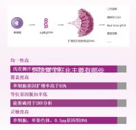懷孕常見征兆主要有哪些