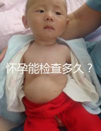 懷孕能檢查多久？