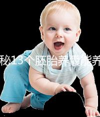 揭秘13個胚胎養囊能養成幾個，別以為6個著床幾率就高