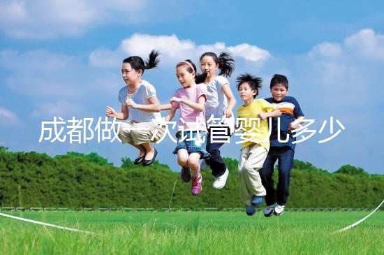 成都做一次試管嬰兒多少錢(qián)啊