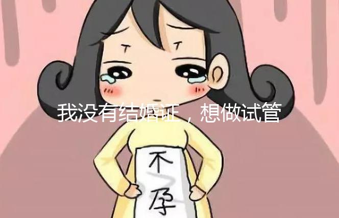 我沒有結婚證，想做試管嬰兒，可以做嗎？