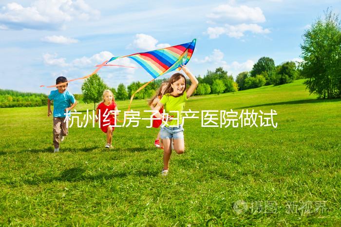 杭州紅房子婦產醫院做試管嬰兒需要多少錢？2025試管價目表曝光（含檢查、促排、移植全流程費用明細）
