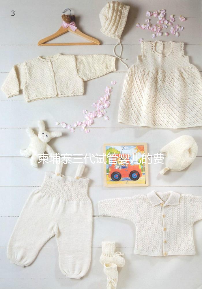 柬埔寨三代試管嬰兒的費用、成功率、流程一文說明！