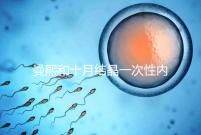 曼熙和十月結晶一次性內衣哪個好看就知道了，女生都來看