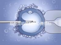 最新昆明早教中心費用標準公布，沒上可退費不60s說清