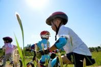 最近警惕戀愛（最近警惕戀愛的電視?。? /></a></div><tt lang=