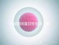 月經期間盲目性生活，搞不好真的會出人命！