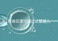 有誰在漯河做過試管嬰兒，具體費用及成功率是多少？