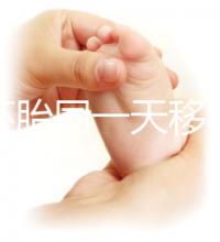 新鮮胚胎同一天移植的植入是否會有早晚，幾天三分鐘就能說清楚