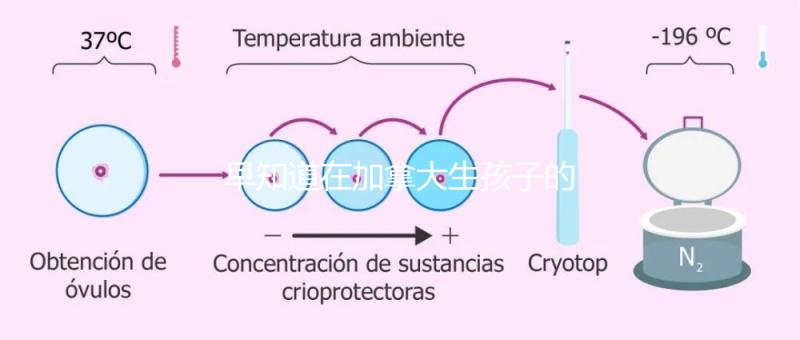 早知道在加拿大生孩子的國籍是什么！最后期限附回國定居