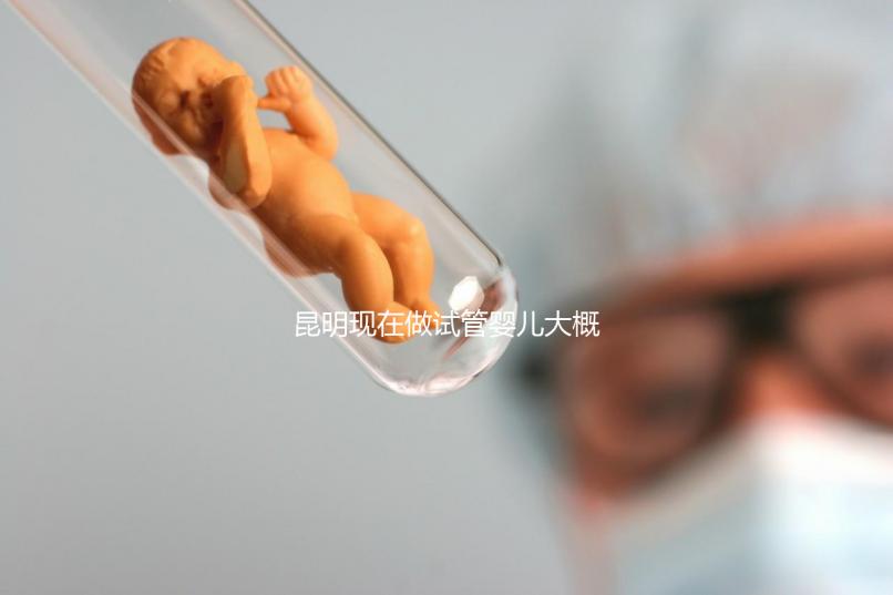 昆明現在做試管嬰兒大概需要多少錢