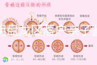 昆明盤龍區落戶親子鑒定在哪里看這，2024流程、費用都有