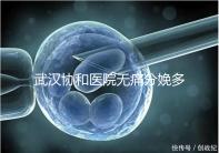 武漢協(xié)和醫(yī)院無(wú)痛分娩多少錢答案在這，住院一天費(fèi)用不高