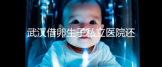武漢借卵生子私立醫院還得看這幾家，協和、同濟醫院上榜
